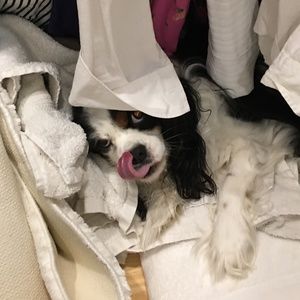 Meet your Posher, Jenifer